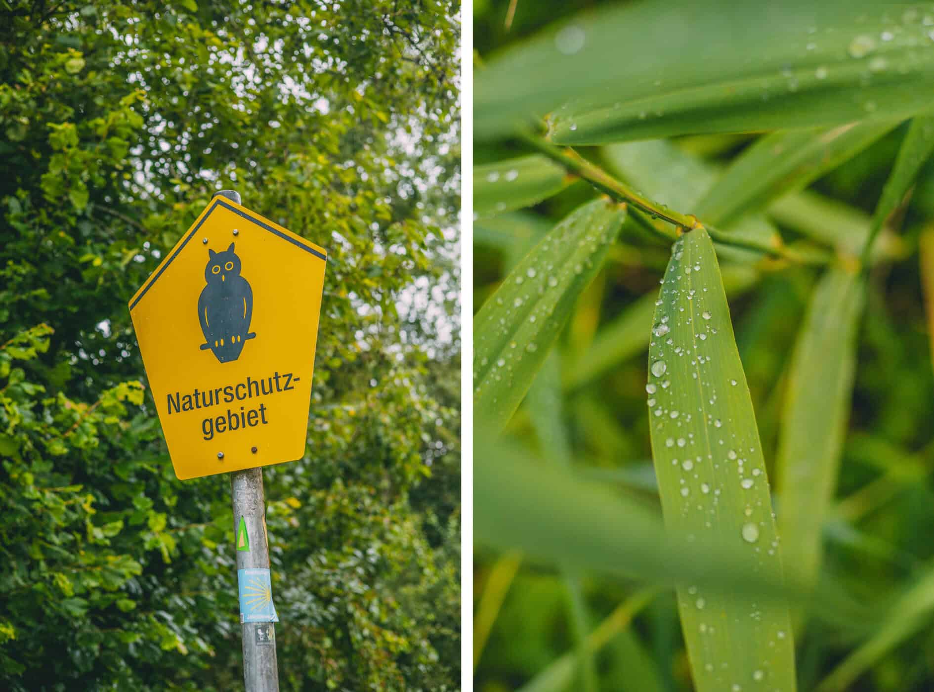 Das Naturschutzgebiet Brenner Moor als Tipp für einen Ausflug in den Kreis Stormarn