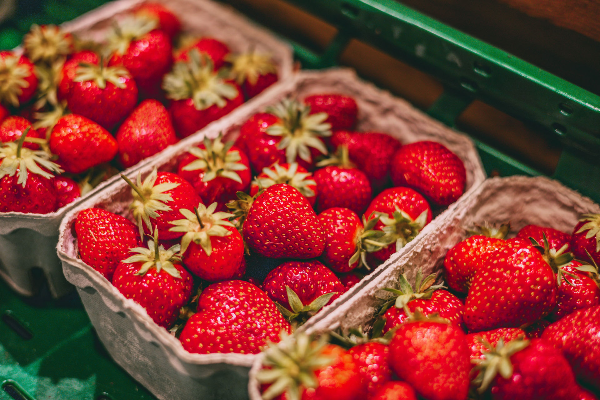 Erntefrische Erdbeeren im Hofladen auf Gut Wulksfelde