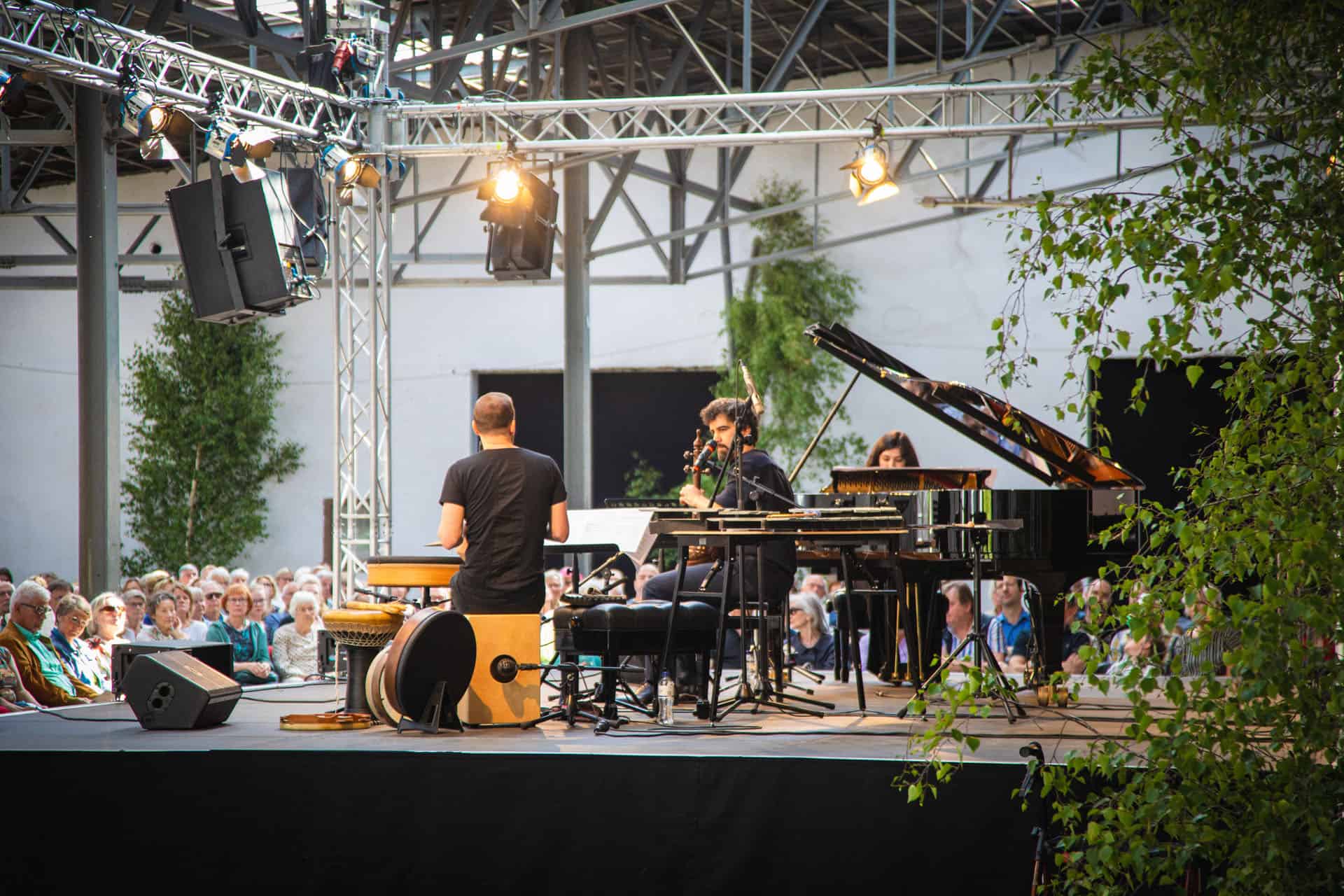 Musiker auf der Bühne beim Musikfeste auf dem Lande