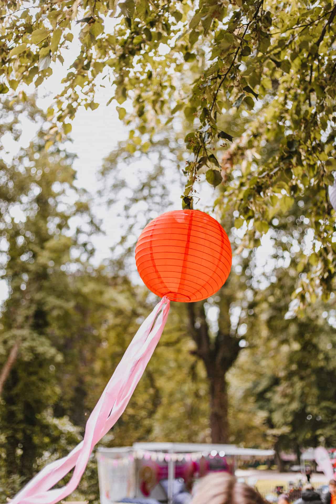 Ein Lampion hängt am Baum