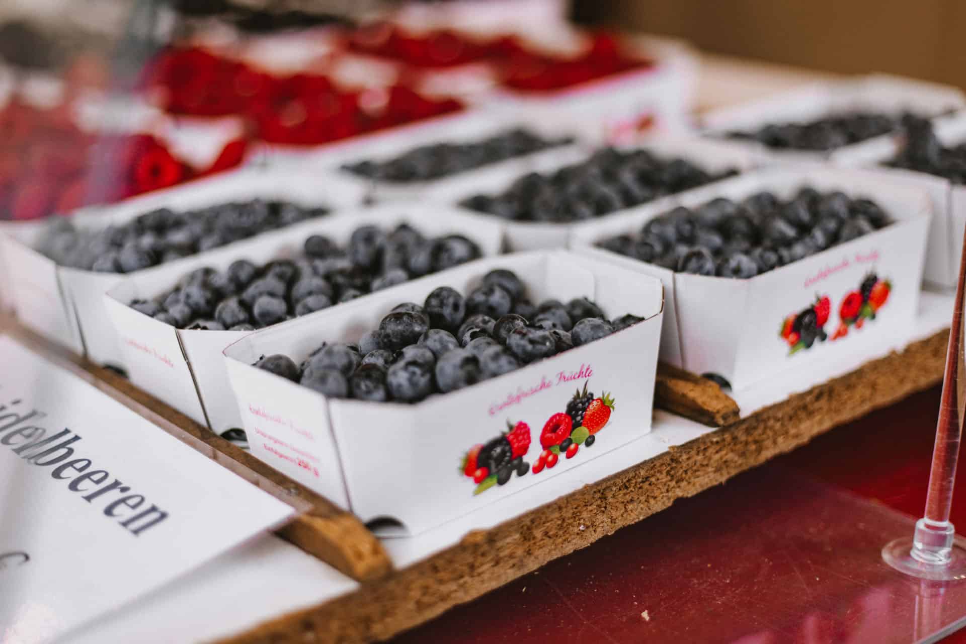 Mehrere Pappschalen mit Heidelbeeren gefüllt