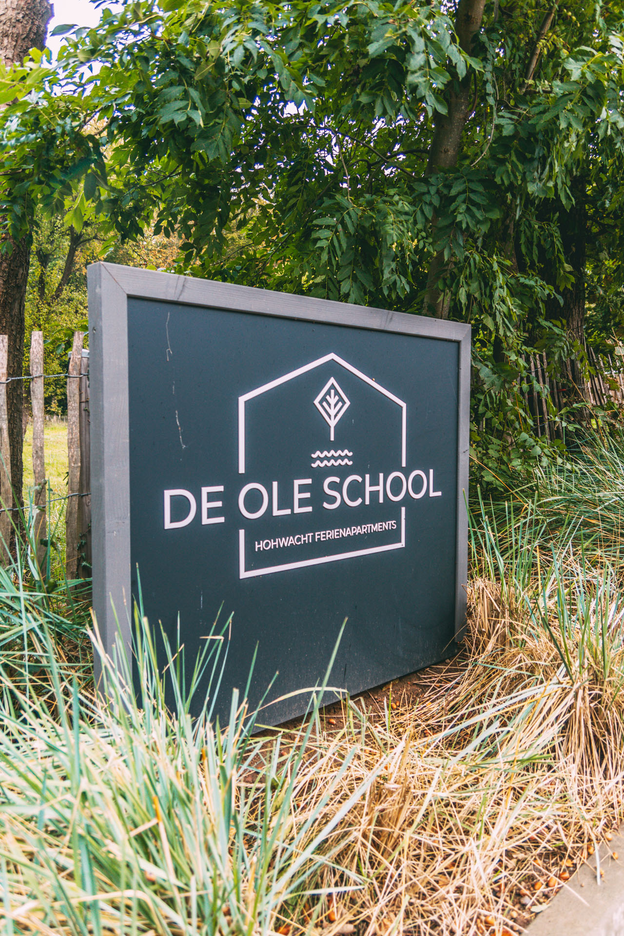 Logo De Ole School