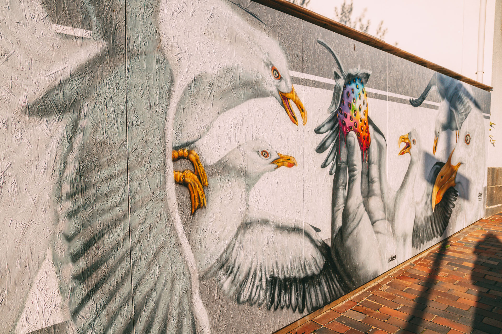 Streetart an einer Mauer: Möwen