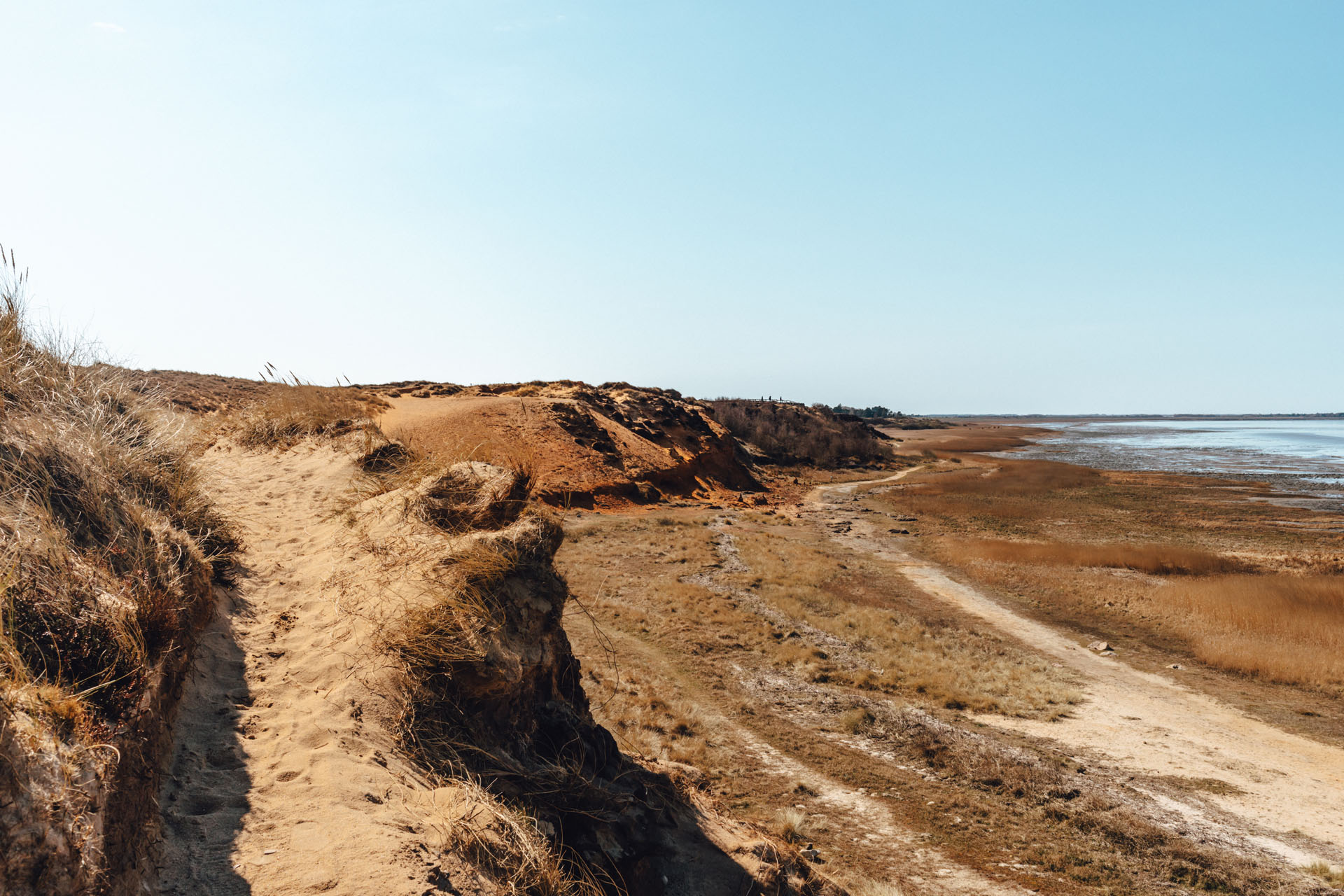 Strandabschnitt auf Sylt bei Sonnenschein: Steilküste und Dünengräser.