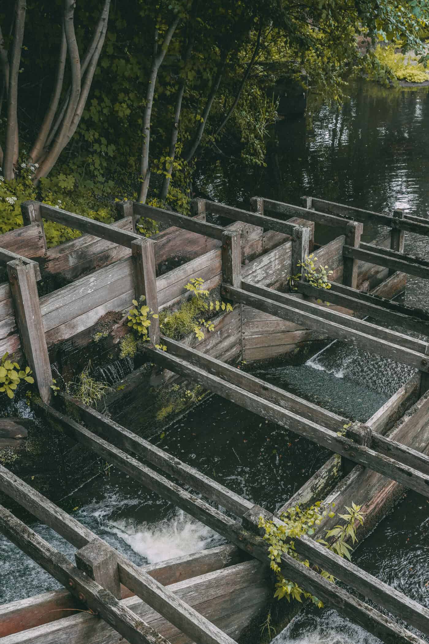 Fischtreppe