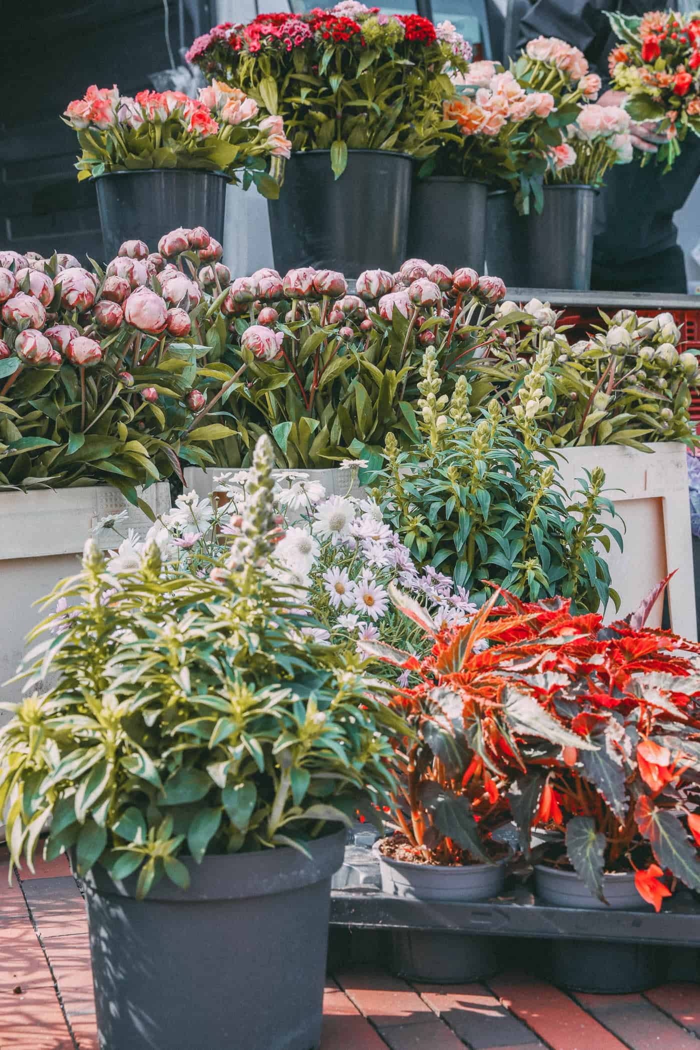 Blumen auf dem Wochenemarkt