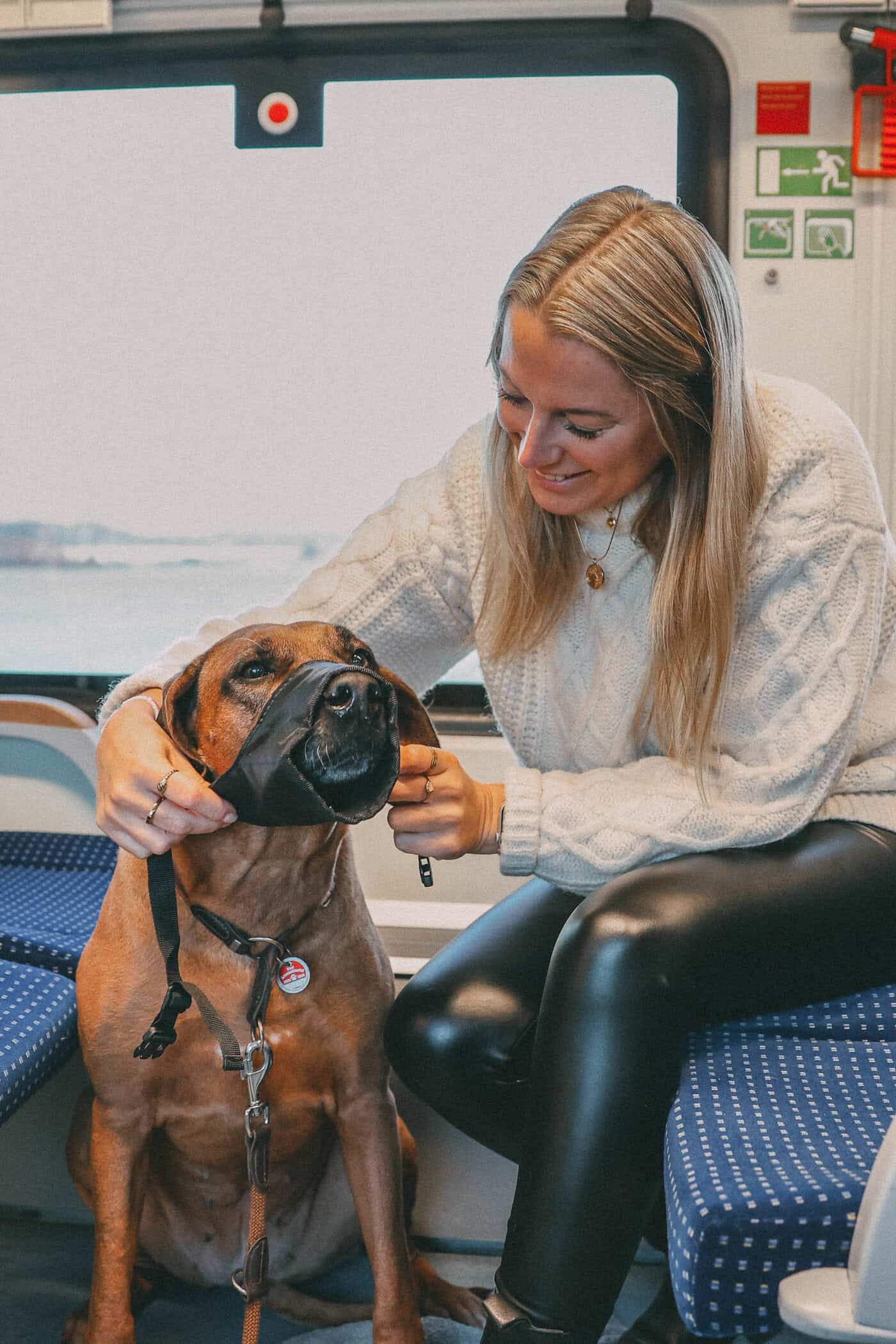 Maulkorbpflicht für den Hund in der Bahn