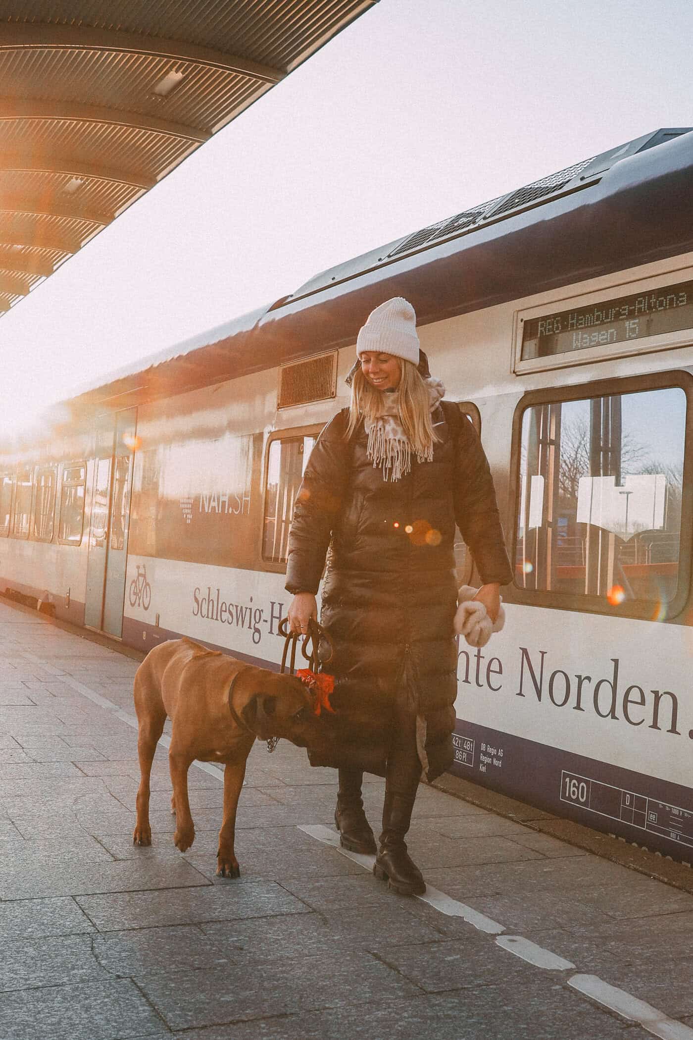 Anreise mit der Bahn bei einem Ausflug nach Sylt mit Hund