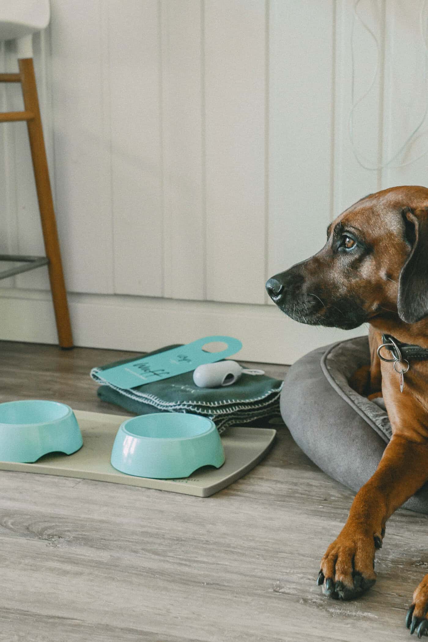 Wyn. hotel beim Übernachtung auf Sylt mit Hund