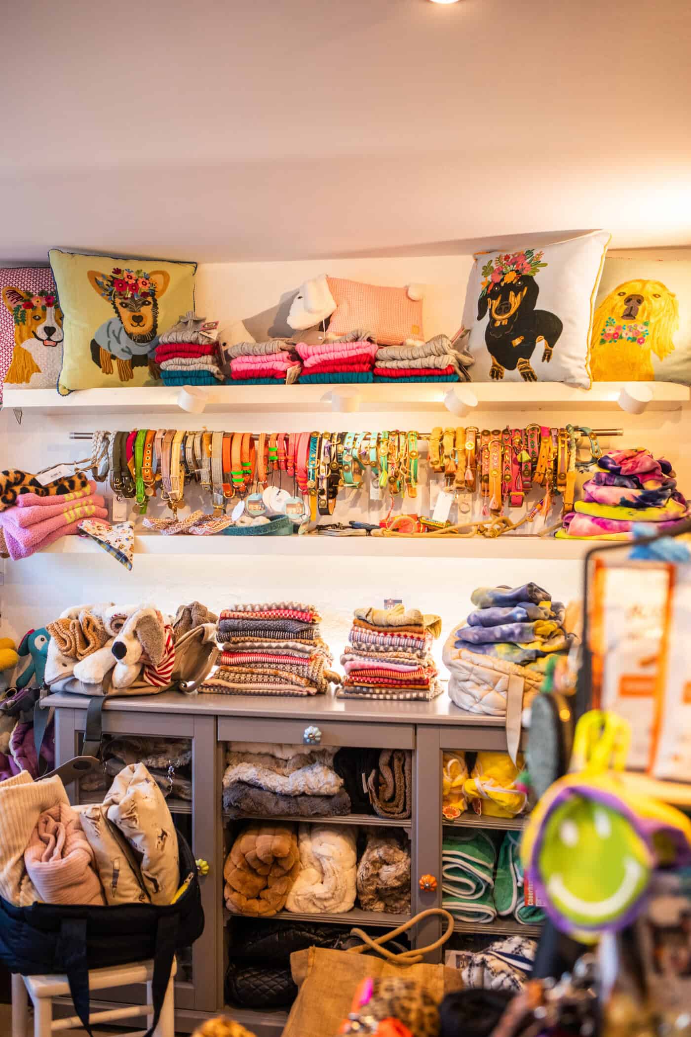 bei Dog Crown`s gibt es eine große Auswahl an Leinen und Halsbändern