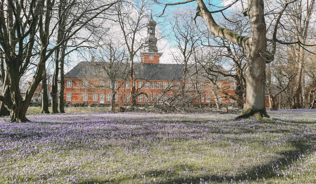 Krokusblütenfest Husum Schlosspark