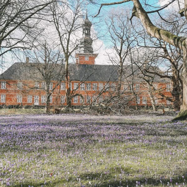 Krokusblütenfest Husum Schlosspark