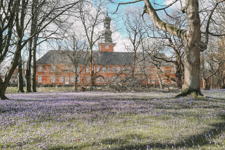Krokusblütenfest Husum Schlosspark