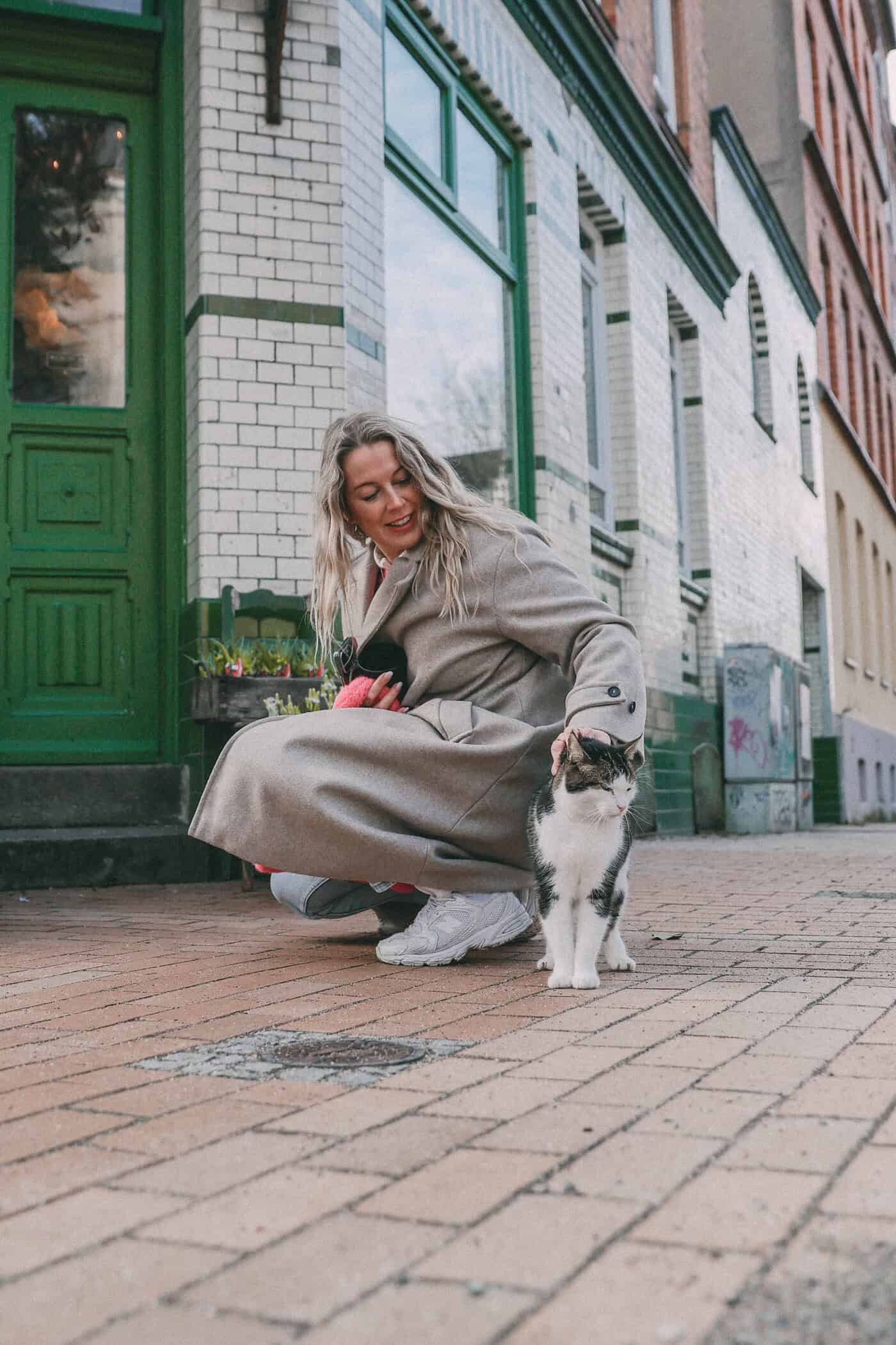 Katze auf der Straße getroffen