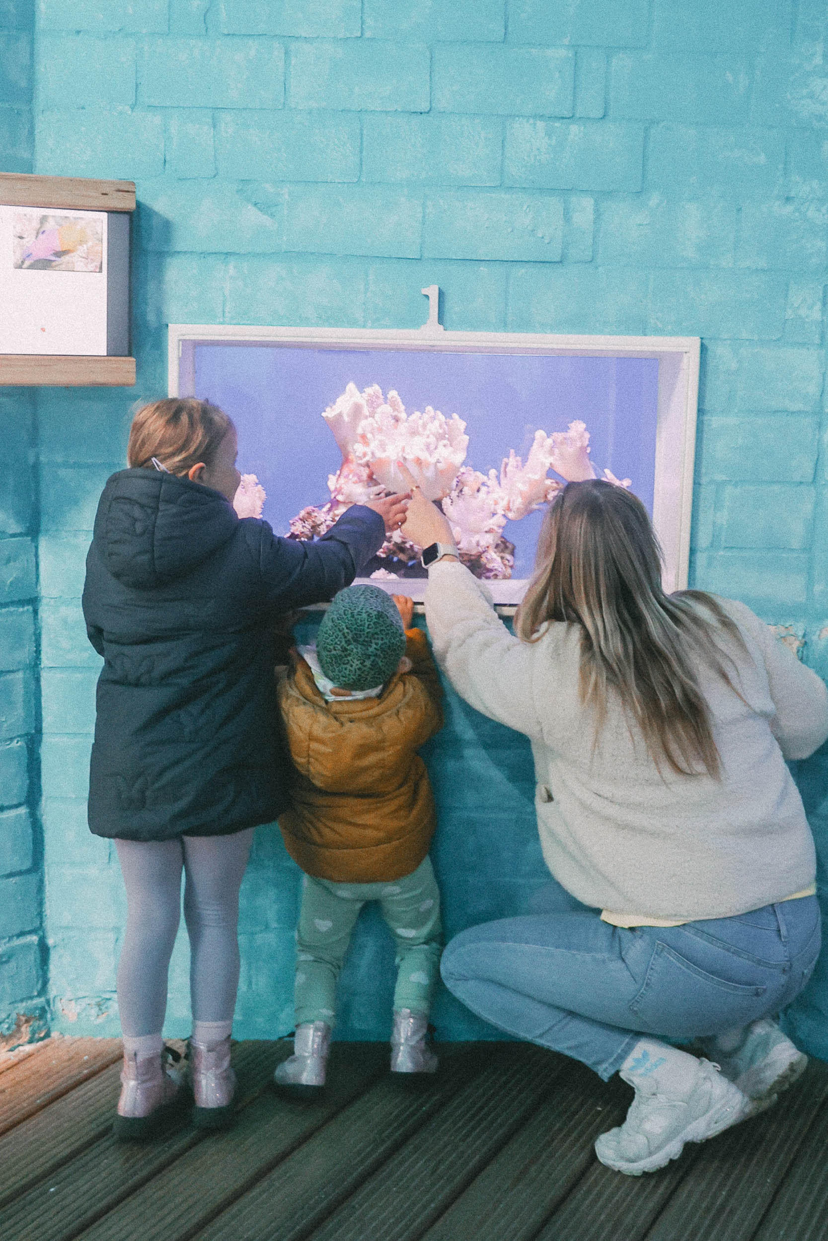 Fische beobachten im Meereszentrum Fehmarn