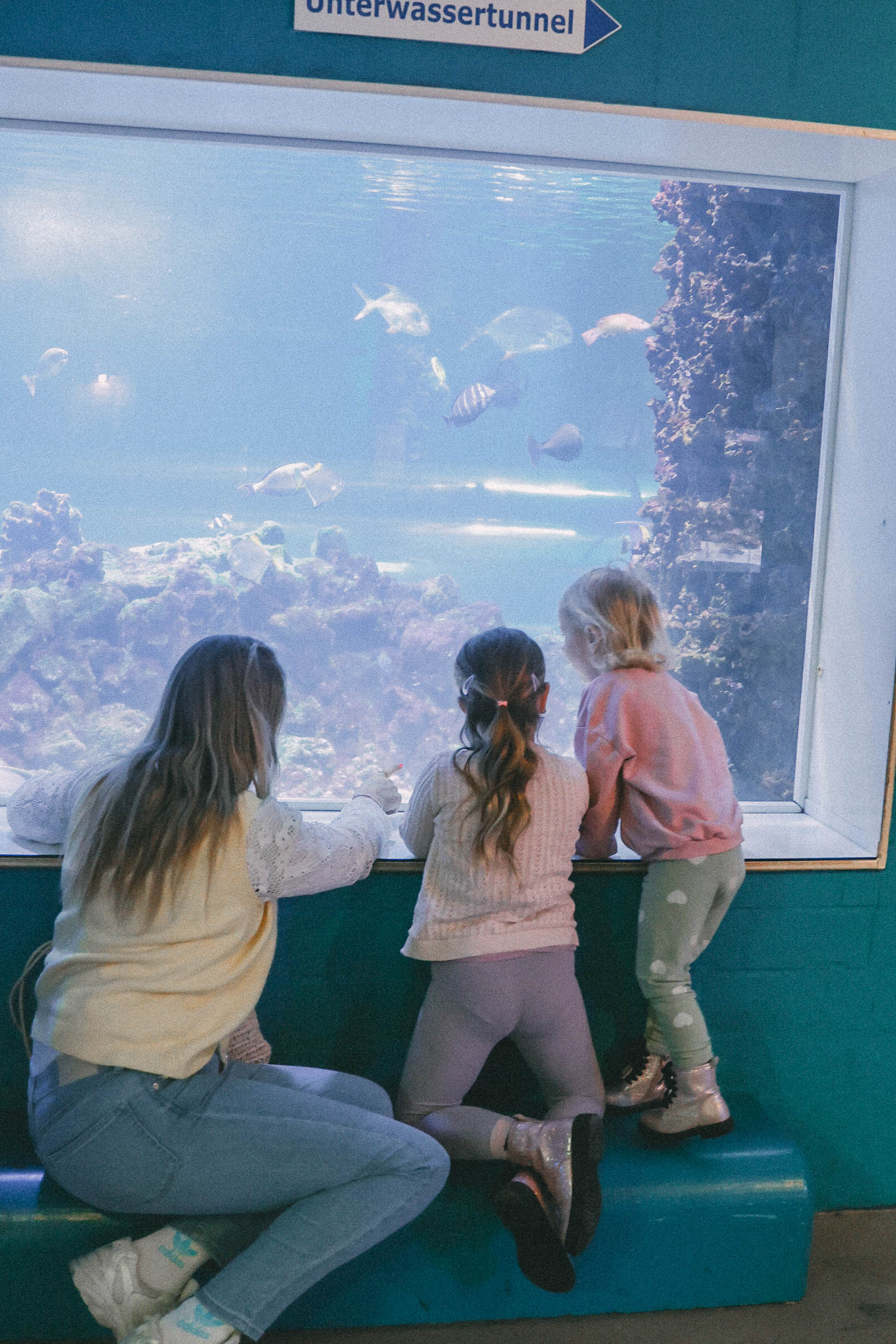 Meereszentrum Fehmarn