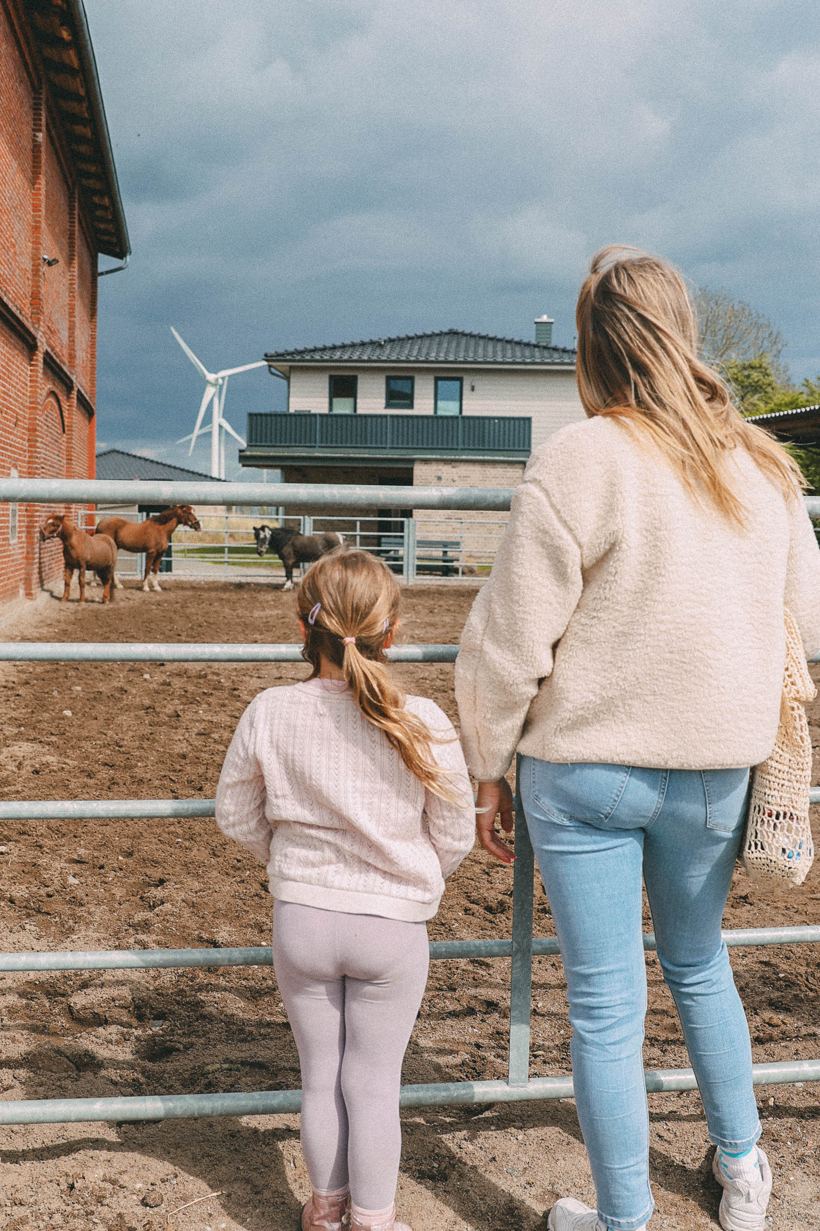 Ponys gucken