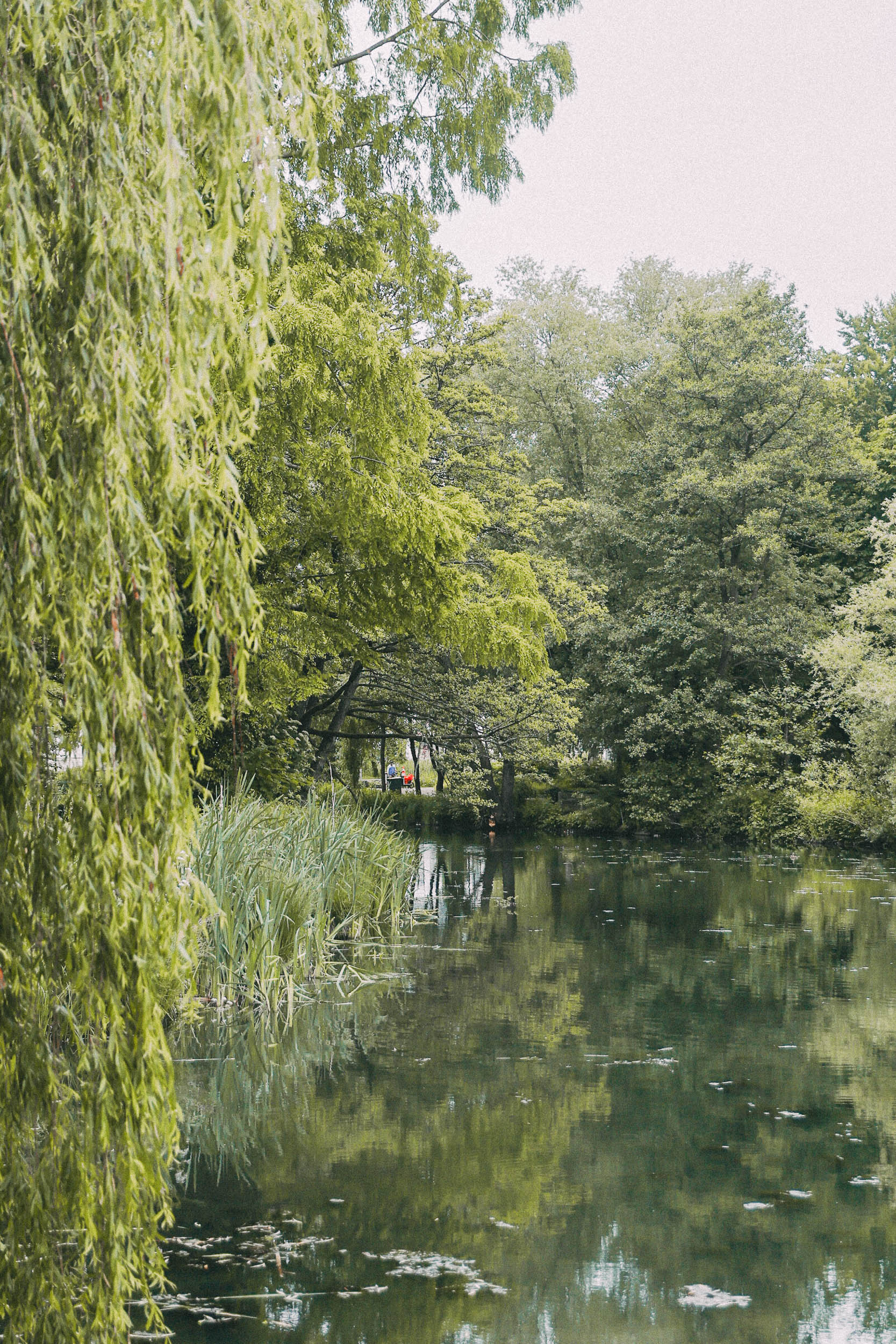 Grün in Neumünster
